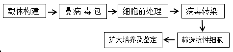 稳1.png