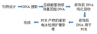 甲2.png