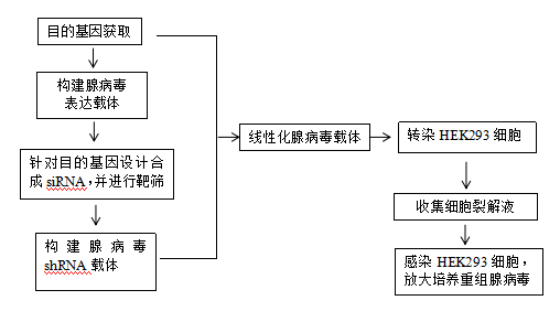 包装2.png