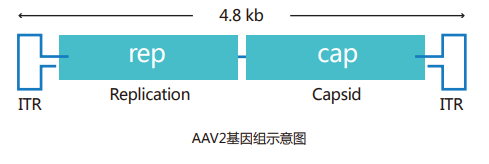 相关1.png