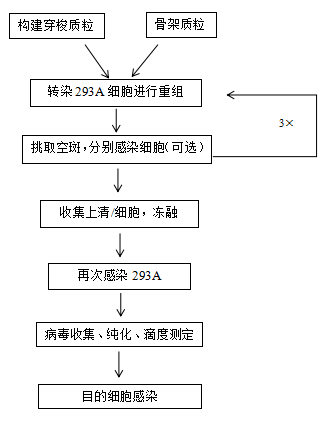 相关2.png
