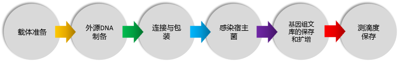 测序1.png