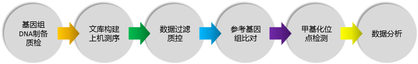 测序2.png