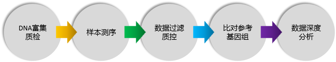 测序3.png