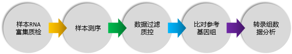 测序5.png