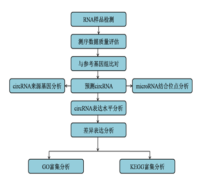 测序6.png