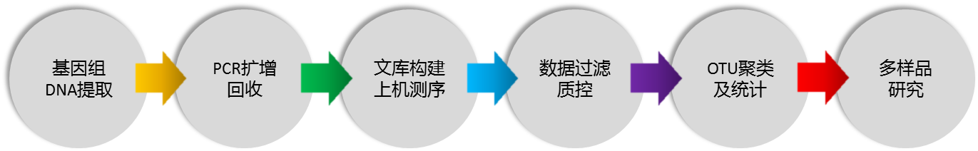 测序7.png