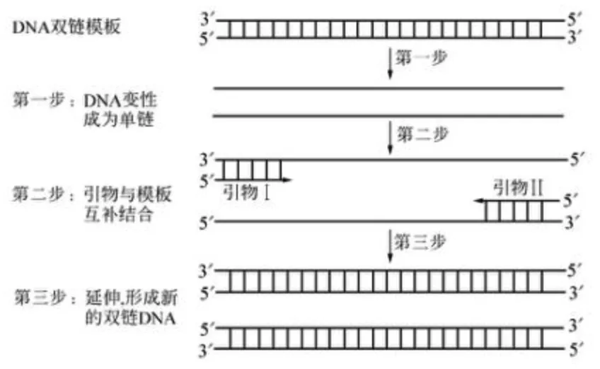 1750144731876.jpg