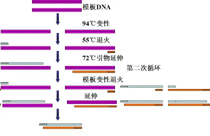 1750144757182.jpg